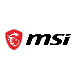 MSI
