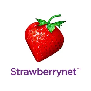 草莓網 Strawberrynet HK